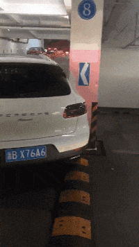 流水线|搞笑GIF：网红生产流水线，这种场面，你一定是第一次见吧！