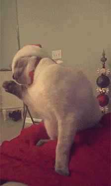 山竹|台风山竹圆你海景房梦！