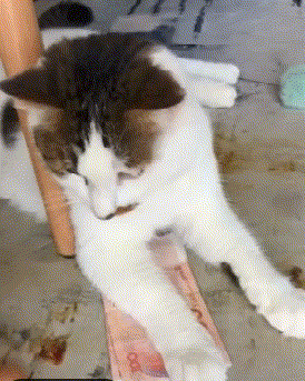 高难度|凡是能做出这种高难度动作的人, 一般都是练过的