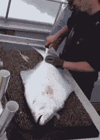 段子|搞笑GIF：但是我们男孩想看的，却是不穿衣服的女孩呀