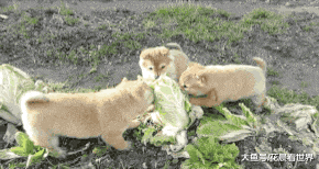 兄弟|搞笑GIF趣图:妹纸你这是练的什么神功?好腰力!