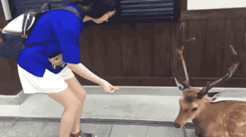 长头|搞笑GIF:小朋友,都这样了还不忘玩游戏