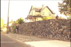 父亲|搞笑动图：狗咬鸡蛋，多管闲事