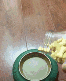 太上皇|搞笑GIF:这是遇到你家太上皇了吗?行这么大礼