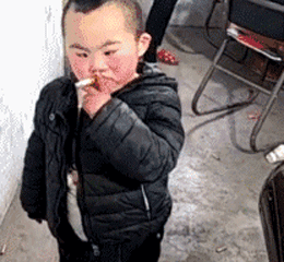 铁柱|搞笑GIF：温顺的二哈