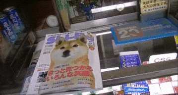 地方|搞笑GIF：你能不能不要在这个地方睡觉啊！我要工作，去别的地方吧！