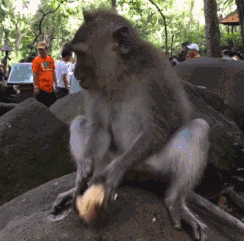 大叔|搞笑GIF:大叔们,还挺会玩啊!这东西有那么重吗?