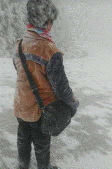 泰迪|搞笑GIF趣图：无敌是多么，多么寂寞！