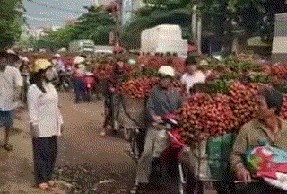 妹子|搞笑GIF：姑娘有什么事冲我来，这头猪真的受不了