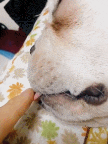 不要|搞笑GIF趣图：幸亏有监控，要不真的没办法解释