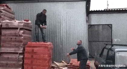 珍稀|这是什么珍稀物种？竟如此奇特！