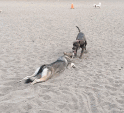 卫校|最近生意不好，姐妹们都躺在家玩手机！