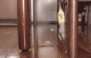 女朋友|惹女朋友不高兴会怎样? 下场太惨了！