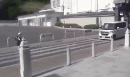 父亲|搞笑动图：狗咬鸡蛋，多管闲事