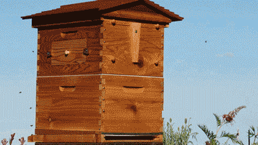 姐们|小姐姐们是不是组团去的医院?完全分不清谁是谁