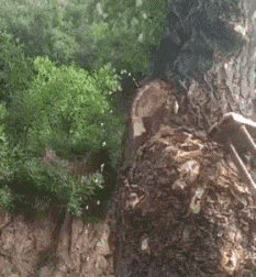 下半生|爆笑gif趣图: 你可要为我的下半生负责啊!