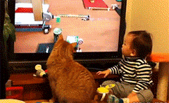 同步|搞笑GIF: 孩子,你们在解释什么是神同步吧!