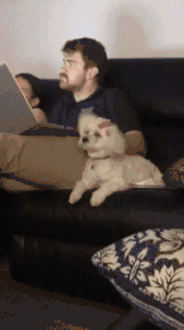 分钟|内涵段子:一分钟之内我要这个地方的地址