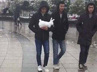 巴掌|兄弟你这一巴掌下去，算是又多了一个单身狗！