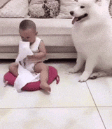 冰雹|搞笑GIF:局部地区有冰雹,闪电,请注意出行安全