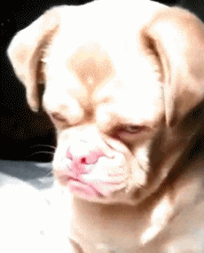 长头|搞笑GIF:小朋友,都这样了还不忘玩游戏