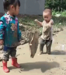 仙人掌|连仙人掌都是爱你的形状...