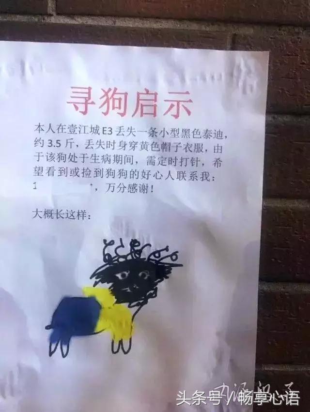 老大|第五波 来!继续给我笑