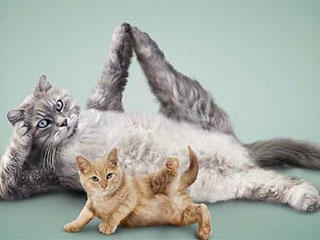 铿锵有力|搞笑动态图gif:铿锵有力的一个字,代表了你对未来的美好祝福。