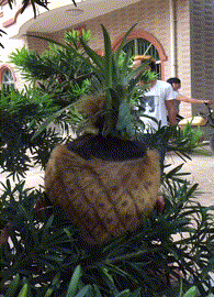 妹子|搞笑GIF趣图：妹子，你哪个单位的？!你站起来说话！