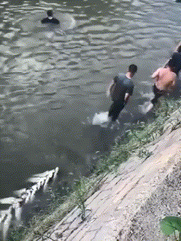 妹子|搞笑GIF：鱼：瞅你那怂样，我就吓唬你一下