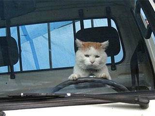 洗衣机|GIF搞笑趣图: 你要取多少？