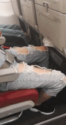 妹子|搞笑GIF：狗：你快放开我，不然我叫了！