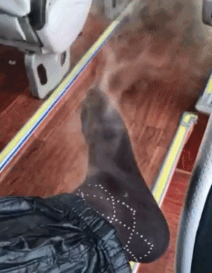 着急|爆笑GIF图：你说你那么着急干什么，我又没说不让你吃。