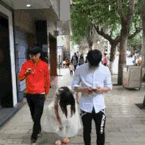 妹子|搞笑GIF：哈哈哈，妹子够机灵的，一看情况不妙直接跳到树丛里去了