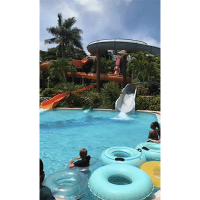 妹子|搞笑GIF趣图:这种做,家里也可以健身