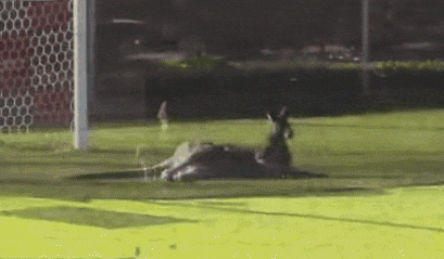 餐巾纸|美女被闺蜜下套吃麻辣餐巾纸,防不胜防!