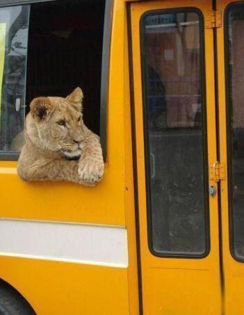 点心|搞笑图片:大哥,你能不能走点心啊