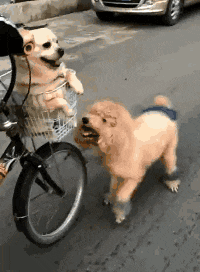 烧烤|孩子你是个人才,我一定要录取你