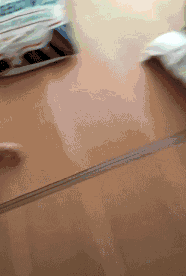 大神|搞笑GIF：本来以为又是大神，结尾过于舒适！