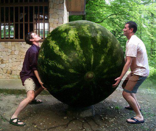 妹子|妹子, 结婚了还这么霸气, 就不怕被你男朋友看见吗?