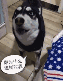 妹子|搞笑动态图：哈哈，妹子你确定是在做俯卧撑吗？