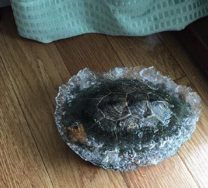 禅师|搞笑段子:去见异地女友,竟然在她房间抽屉发现了皮鞭……