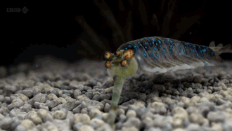 小费|搞笑GIF图:没看美女哭的这么伤心,你这二狗子还蹬鼻子上脸