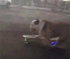 妹子|搞笑GIF趣图：别人都穿着羽绒服，而你却穿短袖，确实很优秀啊