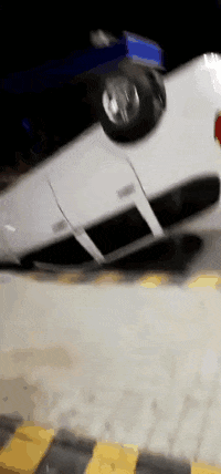 妹子|搞笑GIF：哈哈哈，妹子够机灵的，一看情况不妙直接跳到树丛里去了