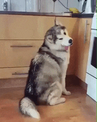 男朋友|有种男友叫别人家的男朋友。