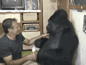 妹子|搞笑GIF趣图：姑娘你喝了多少酒才能醉成这样？这下丢人丢大了！