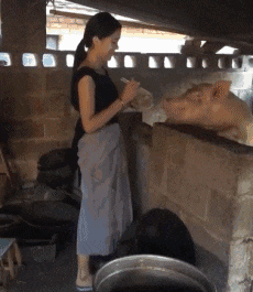 费劲|搞笑GIF: 你别费劲了, 手机好玩多了, 我不会进来的