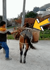 妹子|搞笑GIF趣图：妹子，你的闺蜜可能累了，还是让我来吧！