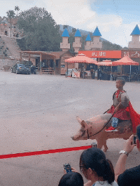 姑娘|搞笑GIF动图：姑娘，你这脚的味道真让人受不了